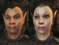 OBL Rassen Waldelf.jpg