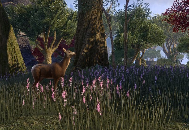 Datei:ESO Auridon - Reh.jpg