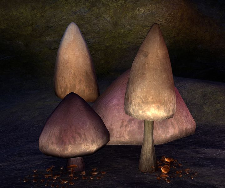 Datei:ESO Blutkronensporen.jpg