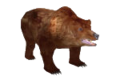 Ein Grizzlybär