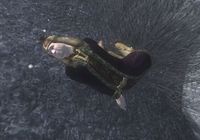 OBL Andre Labouche.jpg