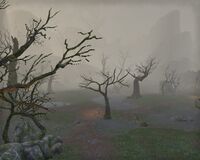 ESO Glenumbramoor 1.jpg