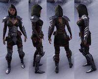 ESO Elfische Heldenrüstung-w.jpg