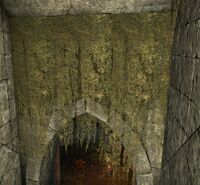 ESO Sturmfeste-Unterschlupf - Hängemoos.jpg