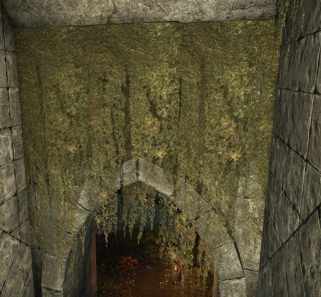 Datei:ESO Sturmfeste-Unterschlupf - Hängemoos.jpg