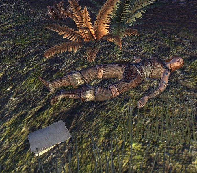 Datei:ESO Gamwyns Tagebuch.jpg