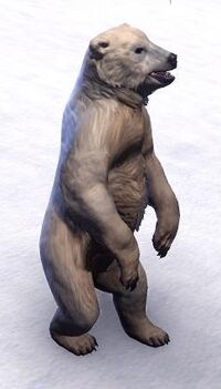 ESO Schneeebärenjunges.jpg