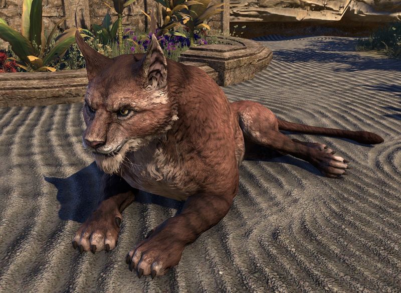 Datei:ESO Senche-raht.jpg