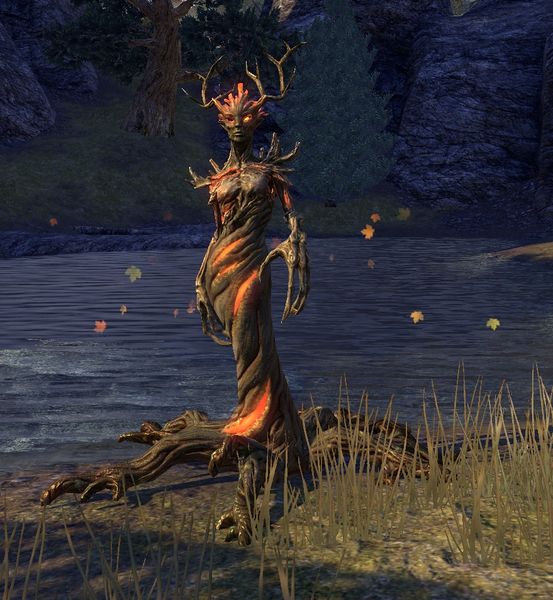 Datei:ESO Zweiglingsmatrone.jpg