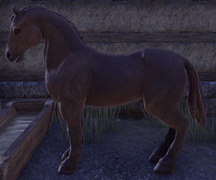 Datei:ESO Rotfuchs.jpg