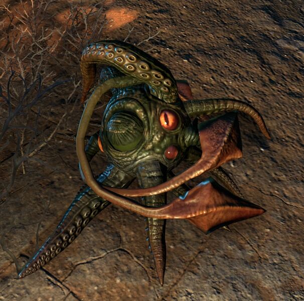 Datei:ESO Grizcalzan.jpg