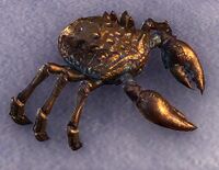 ESO Gewaltige Kupferschlammkrabbe.jpg