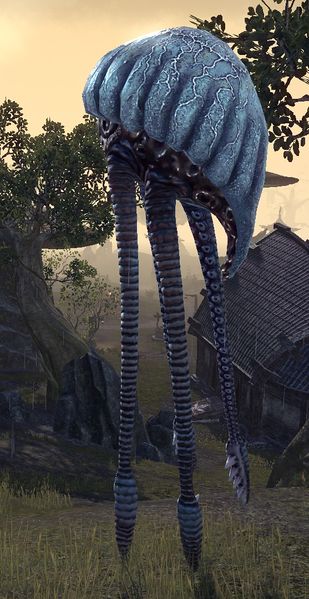 Datei:ESO Netchkuh.jpg