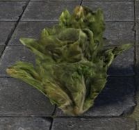 ESO Salat, Schaustück.jpg