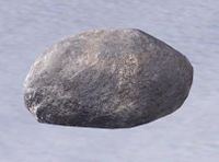 Der einfach beste Begleiter.