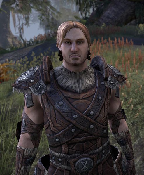 Datei:ESO Njorlund Stahlwind.jpg