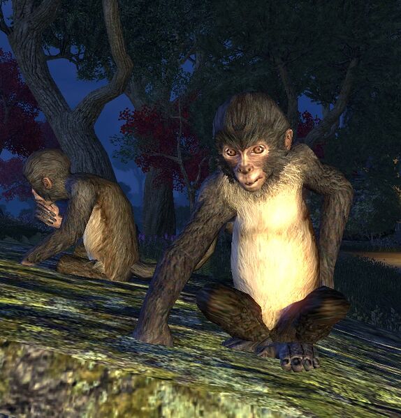 Datei:ESO Affe.jpg