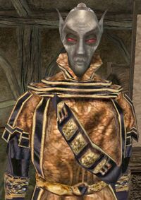 MW Ondres Nerano.jpg