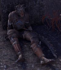 ESO Elf-Sprünge.jpg