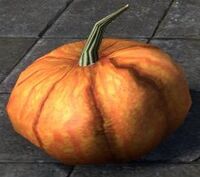 ESO Kürbis, Schaustück.jpg