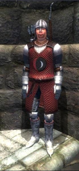 Datei:OBL Skingrad-Stadtwache.jpg