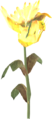 Eine gelbe Bergblume