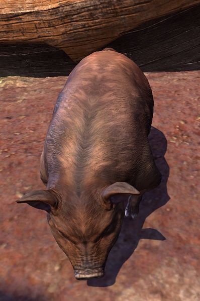 Datei:ESO Herr Grunzelschrunz.jpg