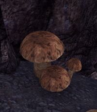 ESO Namiras Fäulnis.jpg