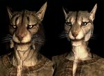 Skyrim:Khajiit