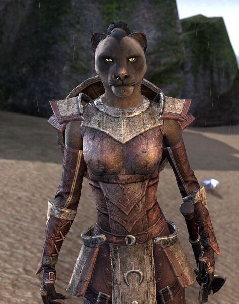 Datei:ESO Leutnant Kazargi.jpg