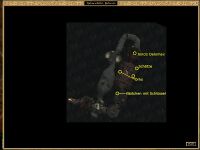 MWQ Legion Buckfalter-Festung 04.jpg