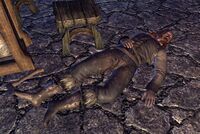 ESO Berj Steinherz Leiche.jpg