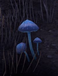 ESO Violetter Tintling.jpg