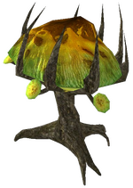 Vorschaubild für Datei:Pilzbaum-Schössling.png