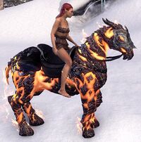 ESO Glutflammenpferd Komplettausstattung.jpg