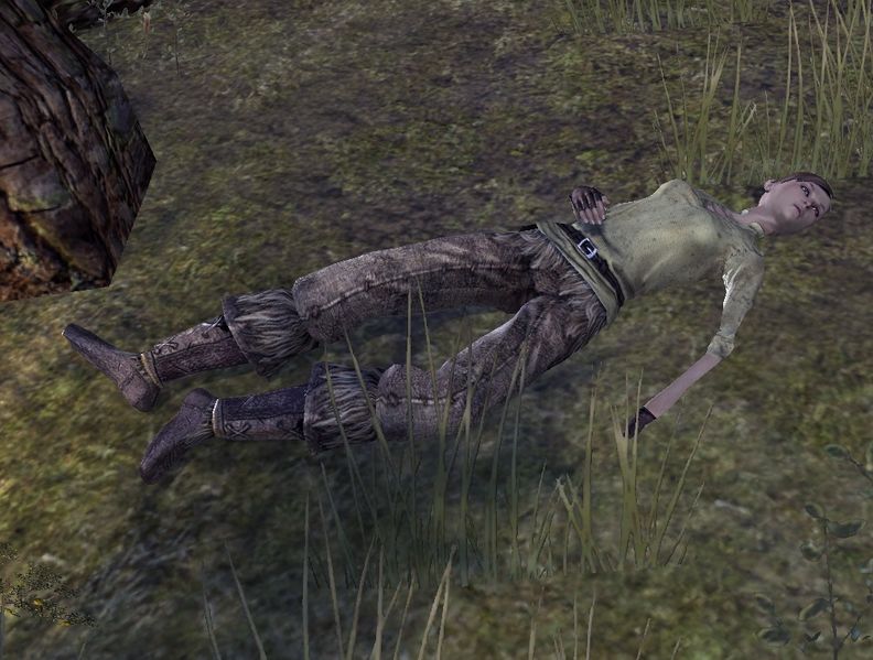 Datei:ESO Awyn Frostbaum.jpg