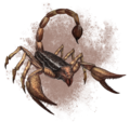 Zeichnung eines Skorpions