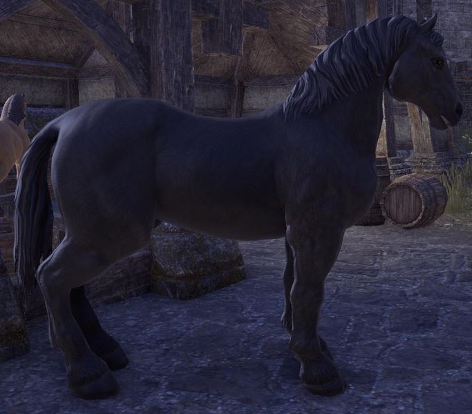 Datei:ESO Mitternachtsross.jpg