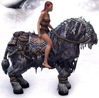ESO Frostfluch-Pferd Komplettausstattung.jpg
