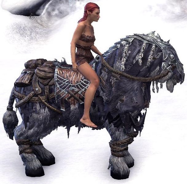 Datei:ESO Frostfluch-Pferd Komplettausstattung.jpg