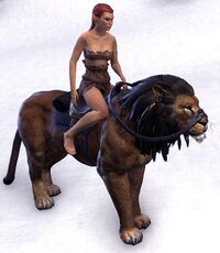 ESO Schwarzmähnenlöwe.jpg