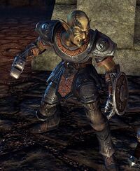 ESO Kriegshäuptling Schattenseide.jpg
