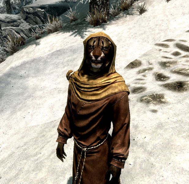 Datei:M'aiq der Luegner Skyrim.jpg
