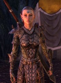 ESO Kapitän Henriel.jpg