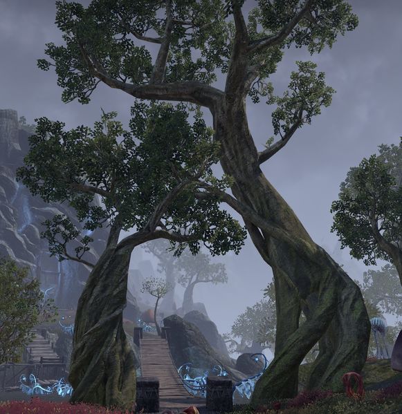 Datei:ESO Dunkelschattenkavernen - Netchbaum.jpg