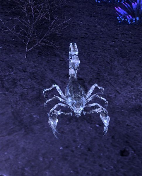Datei:ESO Spukskorpion.jpg