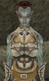 MW Nurisea Selarys.jpg