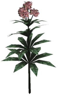 Timsa-Blume Pflanze.png