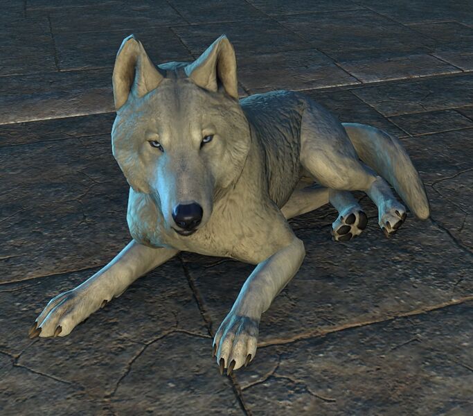 Datei:ESO Antyefire.jpg