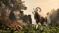 ESO Drachenschwanz-Ziege Promo.jpg